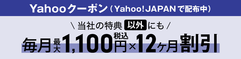 当店でクーポン使えます!Yahoo!JAPANで配布中!当社の特典以外にもPayPayボーナスライト10,000円分もらえます。