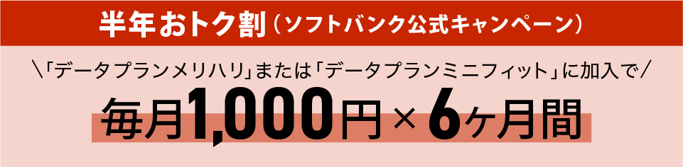 半年おトク割